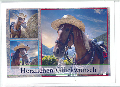 Tiermotive