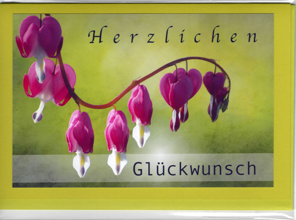Blumenmotive