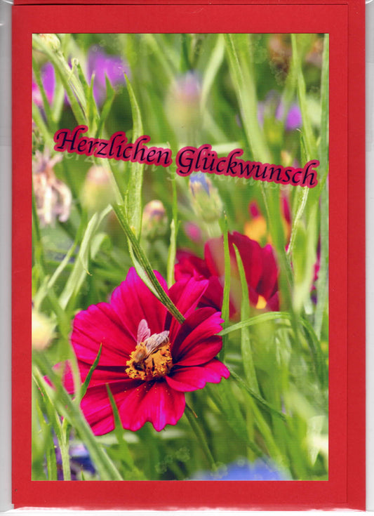 Fotokarte Herzlichen Glückwunsch