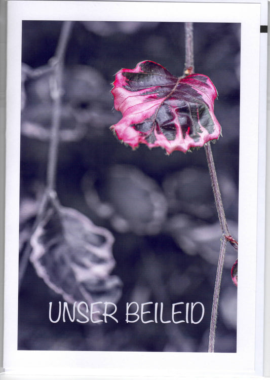 Fotokarte Trauer  - Unser Beileid