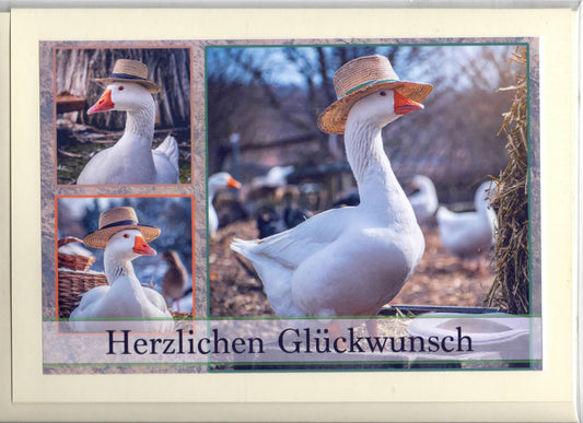 Fotokarte Herzlichen Glückwunsch Tiermotiv Gans mit Hut